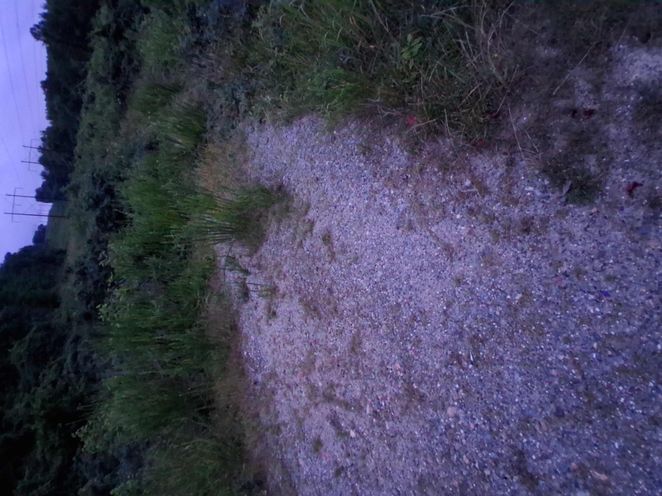 Exploring the abandoned path